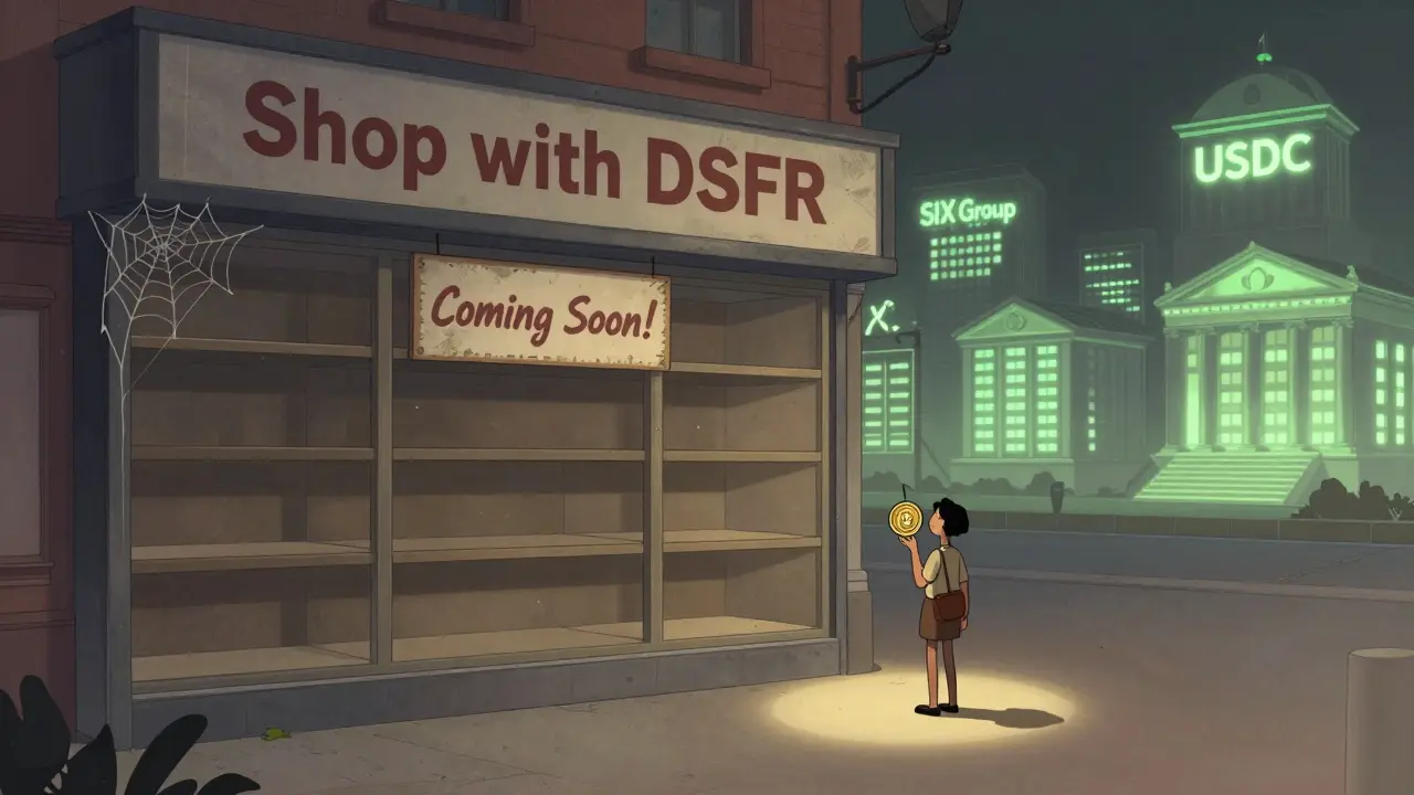 A shopper holding a tiny DSFR token in front of an empty store labeled 'Shop with DSFR'.